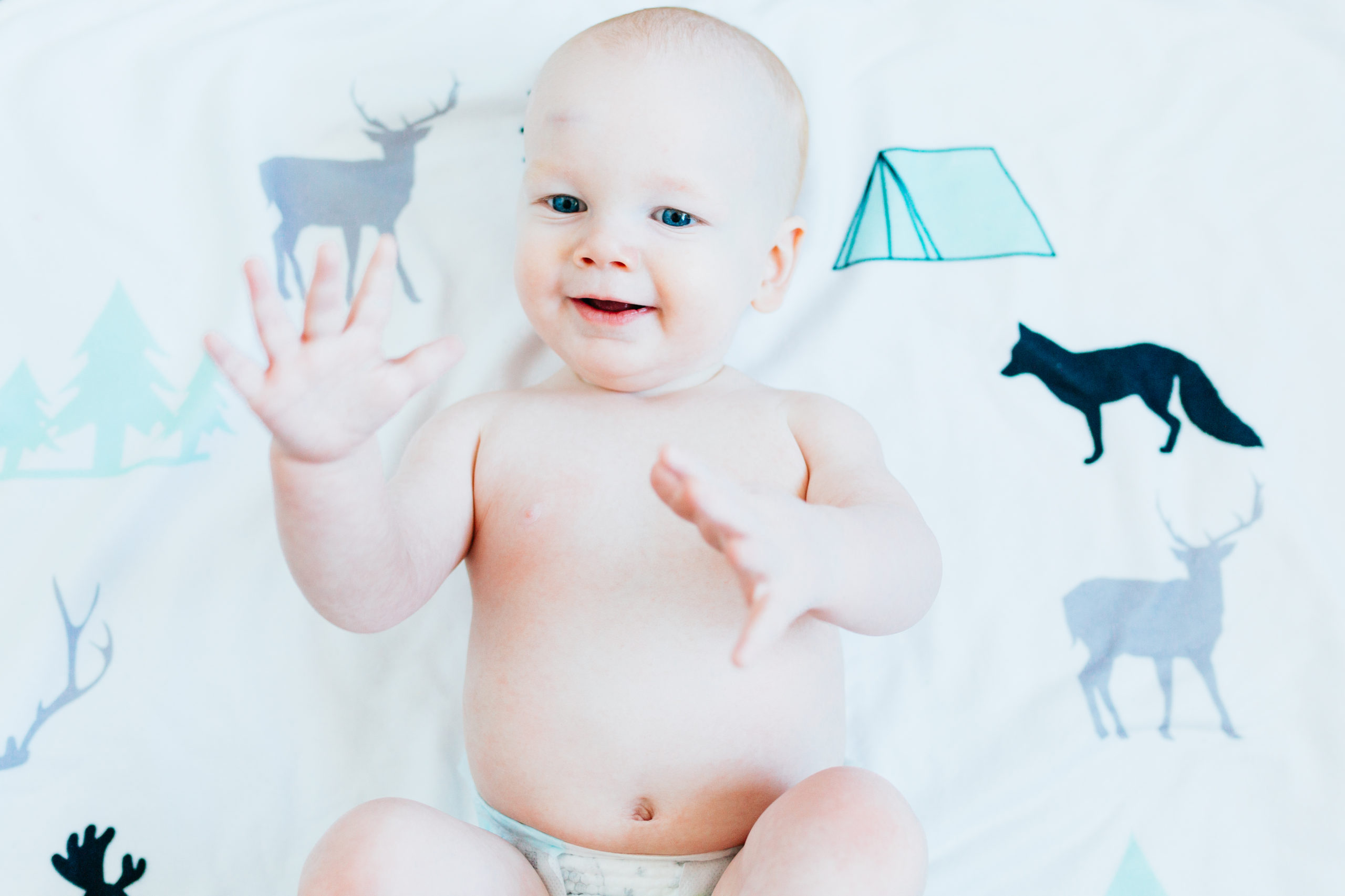 how many months is one year old