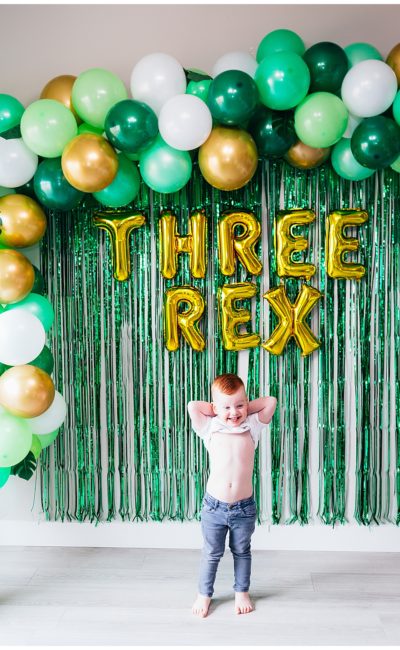 Three Rex | Dinosaur Birthday Party | Three Year Old Birthday Party